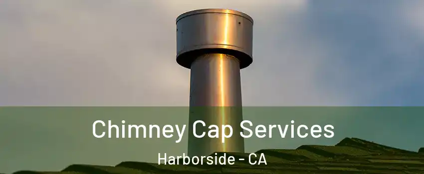Chimney Cap Services Harborside - CA