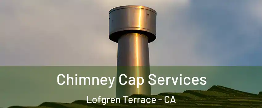 Chimney Cap Services Lofgren Terrace - CA