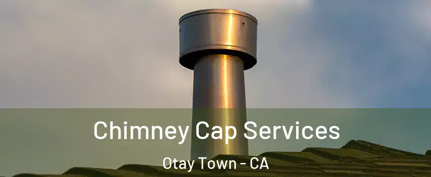 Chimney Cap Services Otay Town - CA