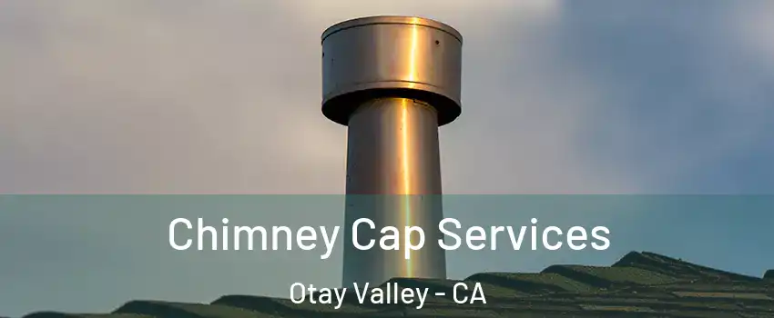 Chimney Cap Services Otay Valley - CA