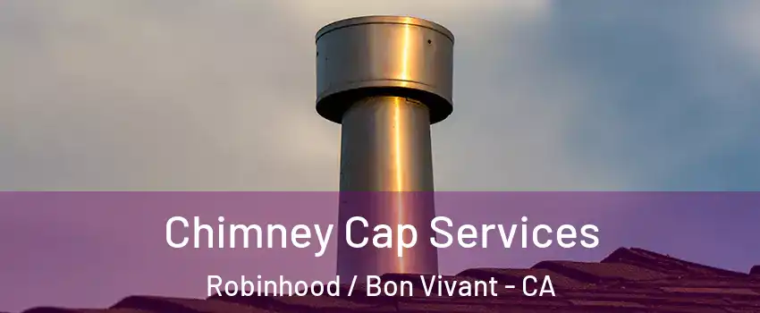 Chimney Cap Services Robinhood / Bon Vivant - CA