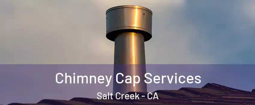 Chimney Cap Services Salt Creek - CA