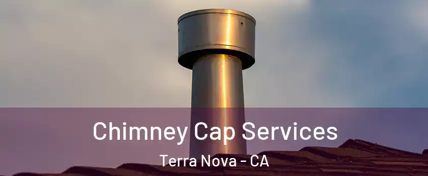 Chimney Cap Services Terra Nova - CA