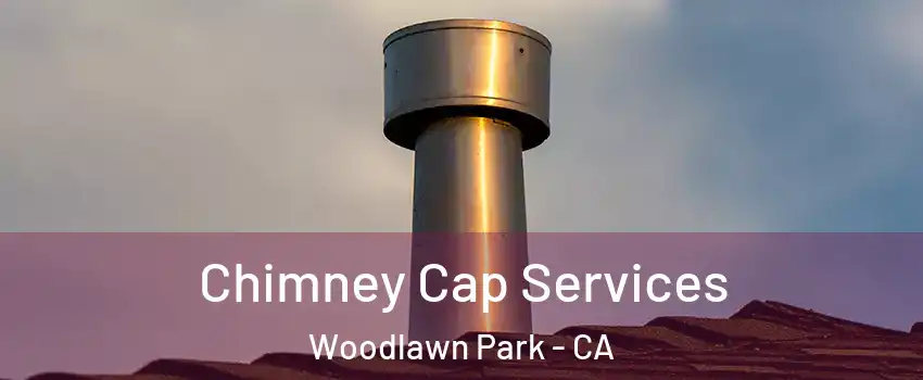 Chimney Cap Services Woodlawn Park - CA
