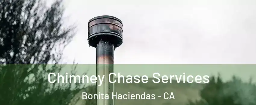Chimney Chase Services Bonita Haciendas - CA