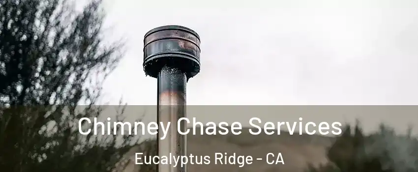 Chimney Chase Services Eucalyptus Ridge - CA