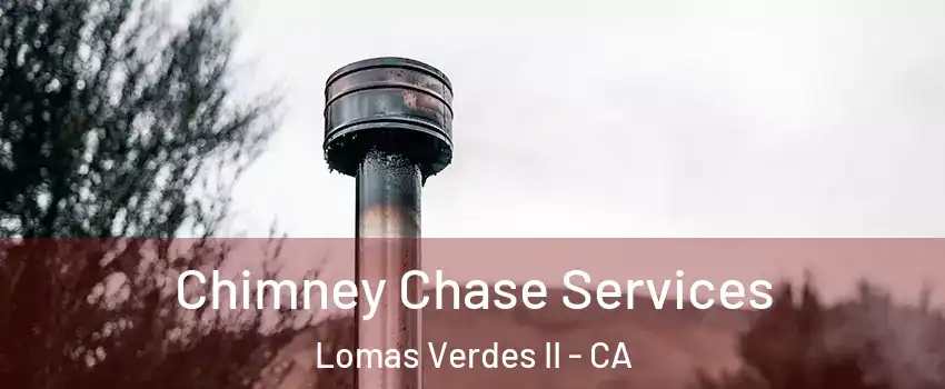 Chimney Chase Services Lomas Verdes II - CA