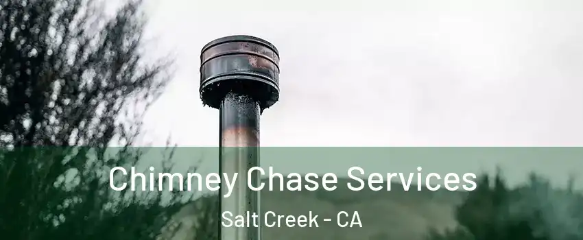 Chimney Chase Services Salt Creek - CA