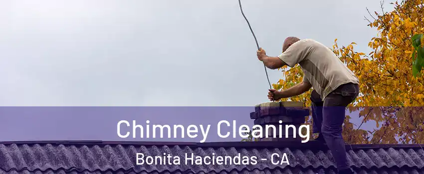 Chimney Cleaning Bonita Haciendas - CA