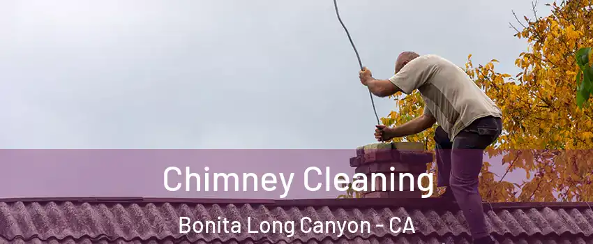 Chimney Cleaning Bonita Long Canyon - CA