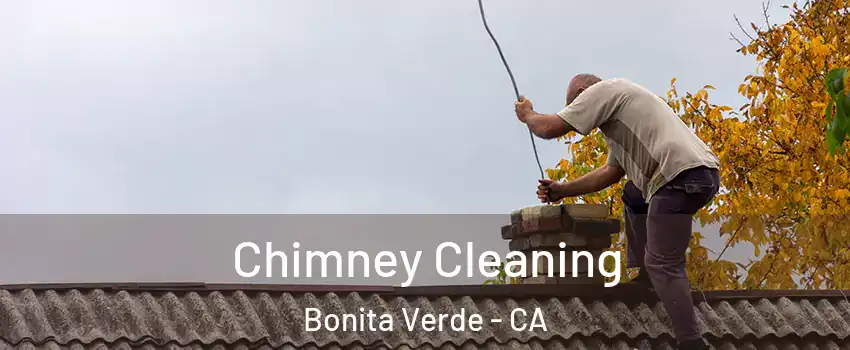 Chimney Cleaning Bonita Verde - CA