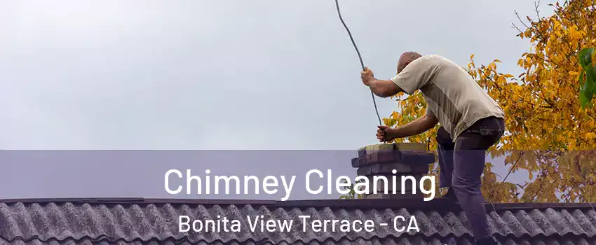 Chimney Cleaning Bonita View Terrace - CA