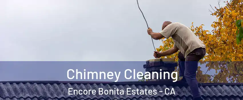 Chimney Cleaning Encore Bonita Estates - CA