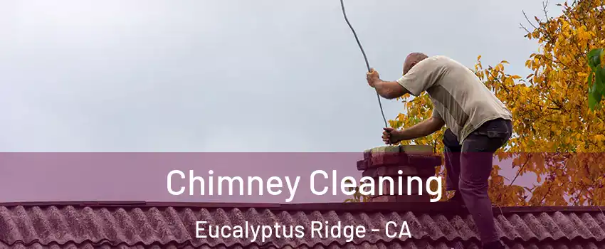 Chimney Cleaning Eucalyptus Ridge - CA