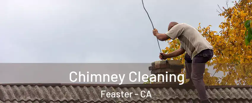 Chimney Cleaning Feaster - CA