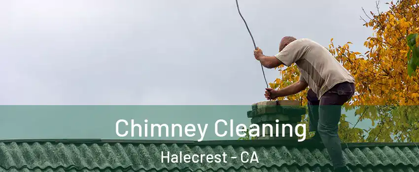 Chimney Cleaning Halecrest - CA
