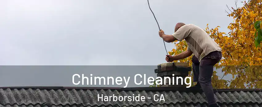 Chimney Cleaning Harborside - CA