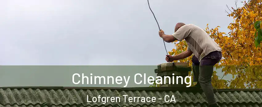 Chimney Cleaning Lofgren Terrace - CA