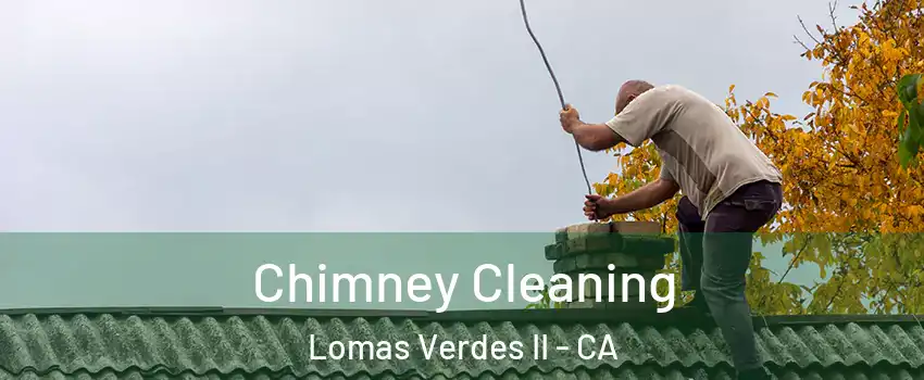 Chimney Cleaning Lomas Verdes II - CA