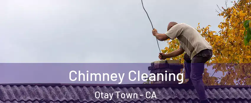 Chimney Cleaning Otay Town - CA