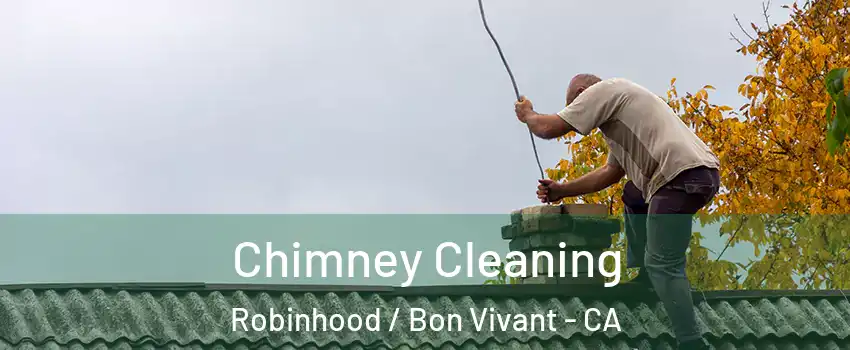 Chimney Cleaning Robinhood / Bon Vivant - CA