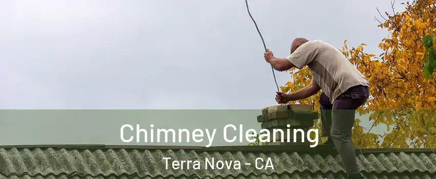 Chimney Cleaning Terra Nova - CA