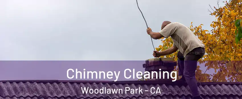 Chimney Cleaning Woodlawn Park - CA
