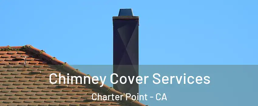 Chimney Cover Services Charter Point - CA