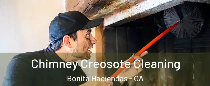 Chimney Creosote Cleaning Bonita Haciendas - CA
