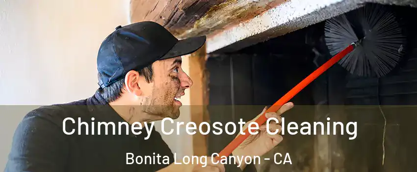 Chimney Creosote Cleaning Bonita Long Canyon - CA