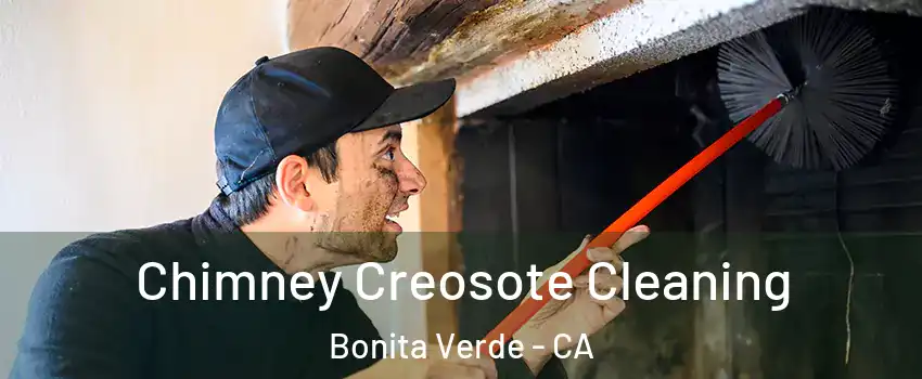 Chimney Creosote Cleaning Bonita Verde - CA