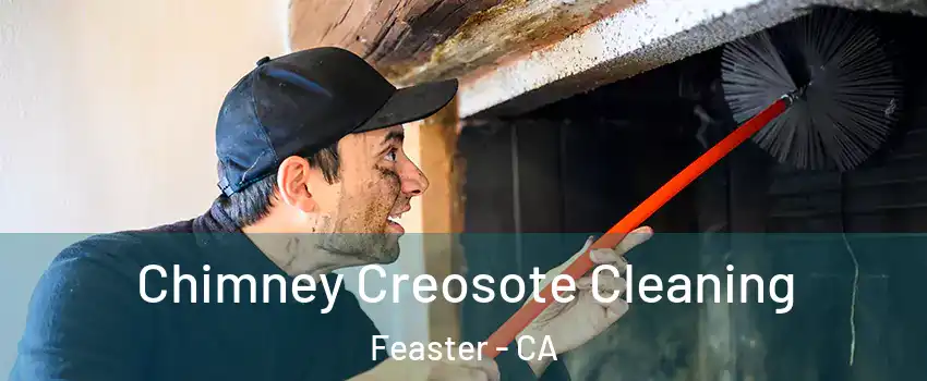Chimney Creosote Cleaning Feaster - CA
