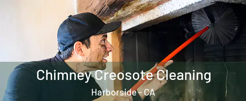 Chimney Creosote Cleaning Harborside - CA