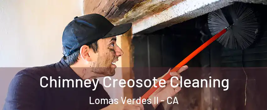 Chimney Creosote Cleaning Lomas Verdes II - CA