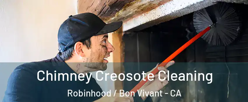Chimney Creosote Cleaning Robinhood / Bon Vivant - CA