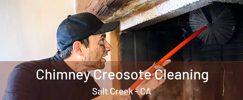 Chimney Creosote Cleaning Salt Creek - CA