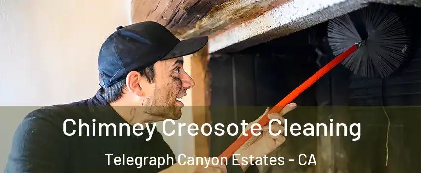 Chimney Creosote Cleaning Telegraph Canyon Estates - CA