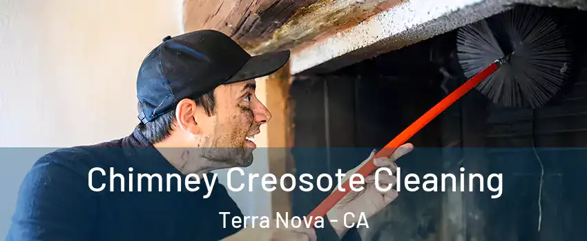 Chimney Creosote Cleaning Terra Nova - CA
