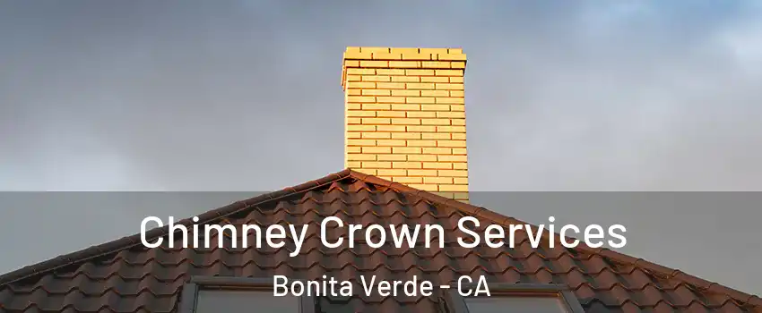 Chimney Crown Services Bonita Verde - CA