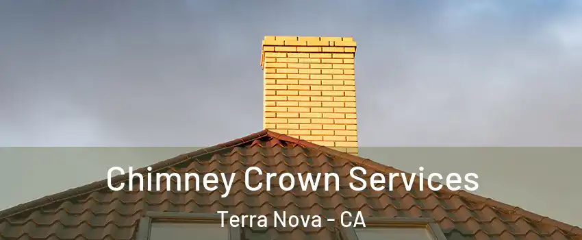 Chimney Crown Services Terra Nova - CA