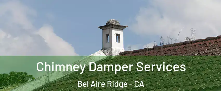 Chimney Damper Services Bel Aire Ridge - CA