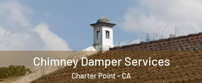 Chimney Damper Services Charter Point - CA