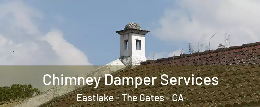Chimney Damper Services Eastlake - The Gates - CA