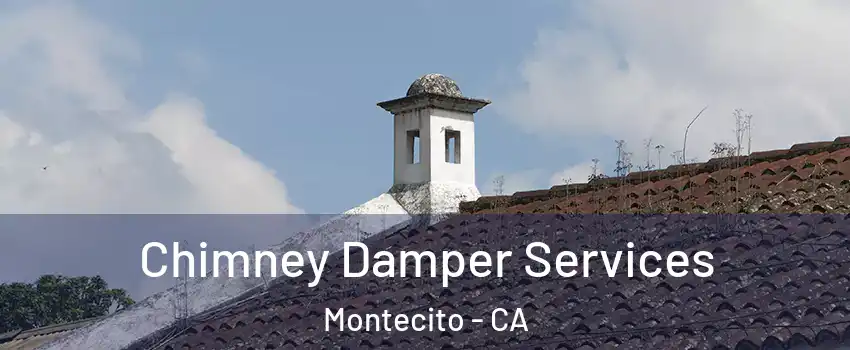 Chimney Damper Services Montecito - CA