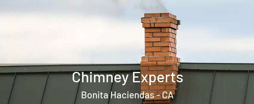 Chimney Experts Bonita Haciendas - CA