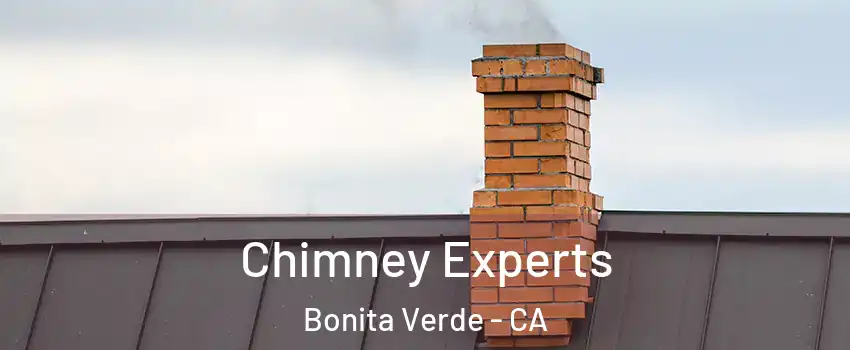 Chimney Experts Bonita Verde - CA