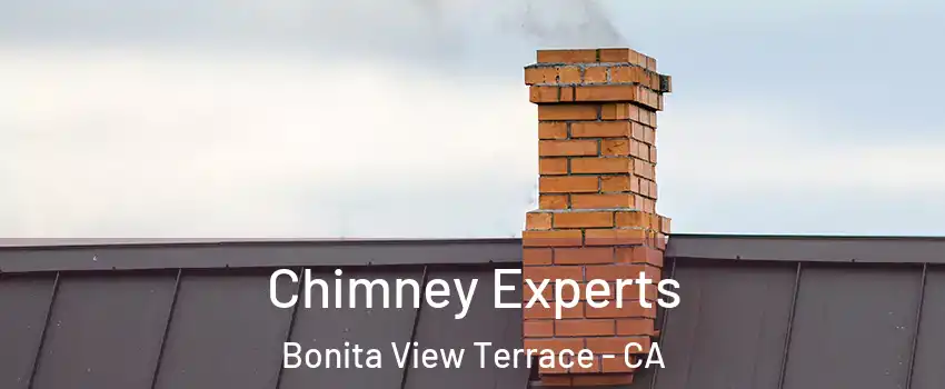 Chimney Experts Bonita View Terrace - CA