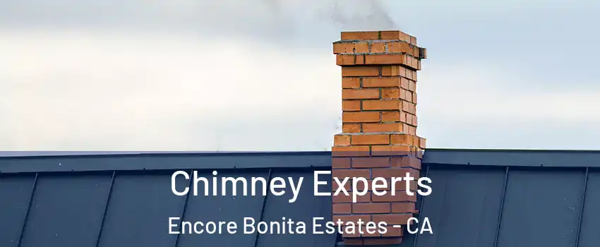 Chimney Experts Encore Bonita Estates - CA