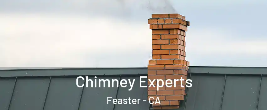 Chimney Experts Feaster - CA