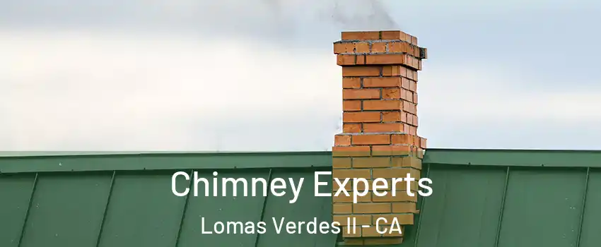 Chimney Experts Lomas Verdes II - CA